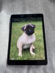 Ipad gen 7 - 32GB - grå