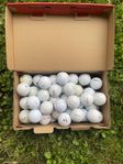 Golfbollar Floridamix 60st