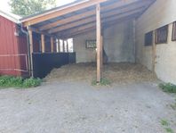Stallplats