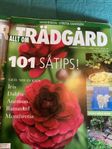 Allt om Trädgård