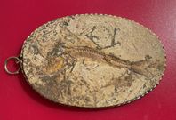 Halssmycke med fossil 