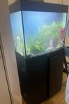 Juwel Rio 125L LED akvarium m möbel & kompletta tillbehör.