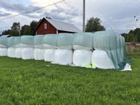 Hösilage