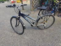 Merida damhybrid