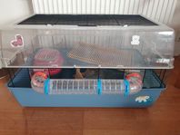 Hamsterbur med tillbehör