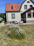 Charmigt Bed&Breakfast på Österlen