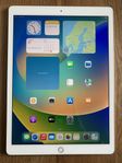 iPad Pro 12.9, 1st gen