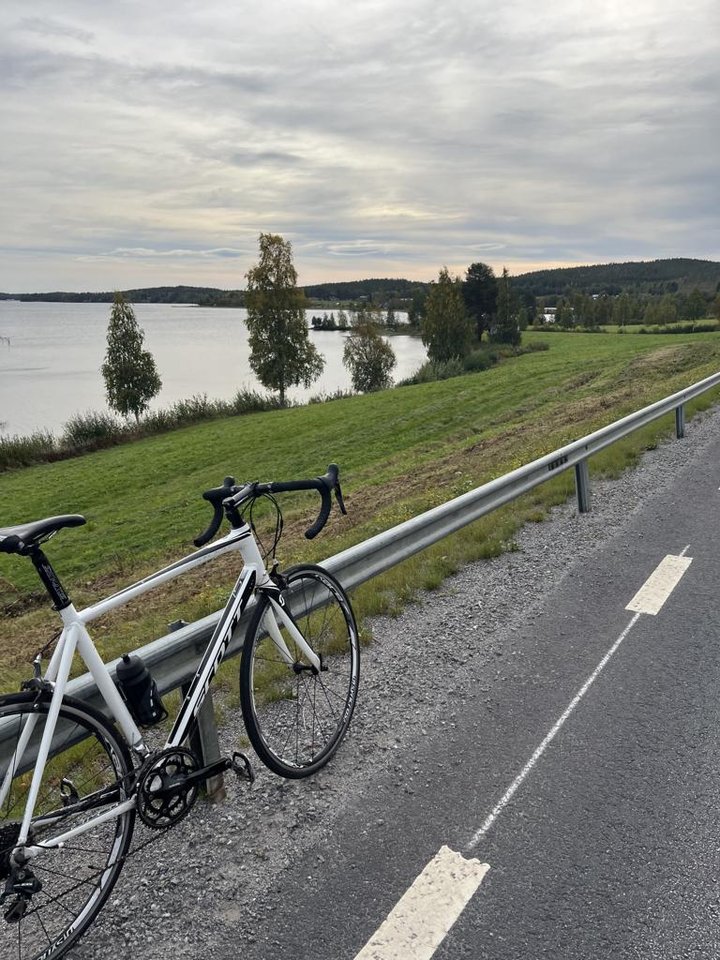 cykel Scott Xl, 58