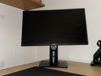 ASUS Monitor 24”