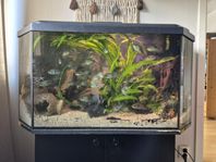 Akvarium ca 200 liter