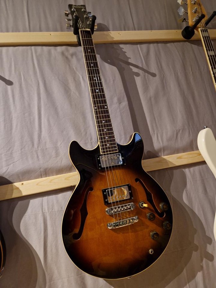Ibanez AM50