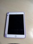 iPad mini generation 5