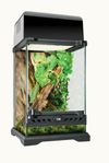 Vandrande pinne och terrarium