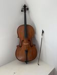 Cello 4/4