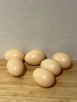 konstgjorda ägg i plast