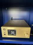 gold note ds10