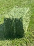 Analyserat Hösilage, Torv, Torvmix, Ved