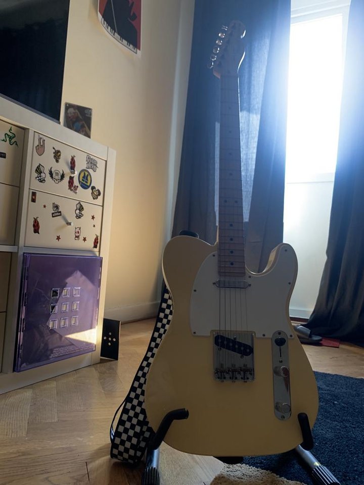 Fender Telecaster American Pe...