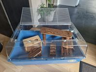 Hamsterbur med några tillbehör 