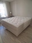 Dream Kontinentalsäng Beige 180 Medium/Medium