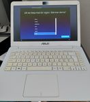 Asus E402M - 14" surfdator