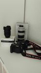 Canon 5D Mark IV + 100-400mm 4.5-5.6 + 24-70mm