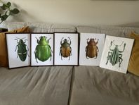 5st FOTOGRAFIER | Göran Liljeberg