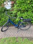 Elcyckel Batavus Ego Firenze Bosch Active line mittmotor 