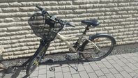 21 växlad Cykel med fjäderdämpning