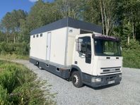 Iveco eurocargo häst transport 