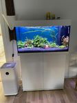 akvarium Juwel Rio 125 liter LED - Vit med möbler 
