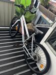 cykel 24