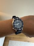 Citizen Promaster