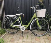 Crescent Damcykel