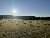 Hö (småbal)