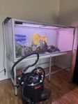 akvarium 