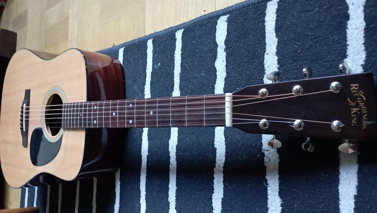 Recording King RD-318 as New