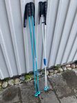 Head Worldcup Rebels Carbon stavar