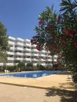 Nyrenoverad lägenhet i Alcudia, Mallorca