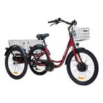 Elcykel Evo-bike
