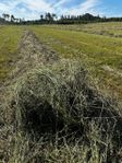 Hösilage 1A Skörd 2025 