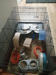 Hamsterburar
