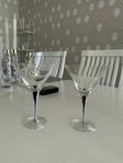 Orrefors intermezzo cocktailglas