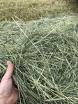 Hösilage