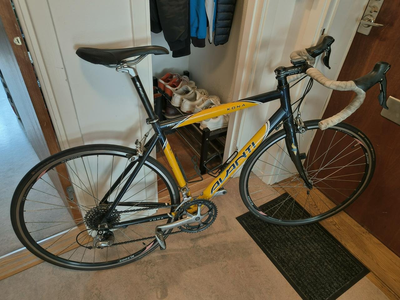 Avanti Kona stl L