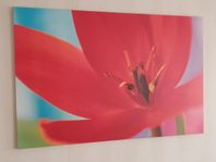 Stor tavla canvas Pjätteryd från IKEA (2004)