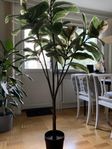 Ikea FEJKA konstgjord krukväxt - Fönsterfikus