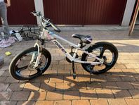 Mountainbike