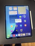 iPad Pro 12.9 (Gen3) + Apple Pencil (Gen2)