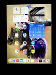 iPad gen8 cellular